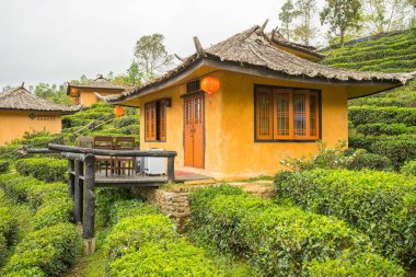 Rak Thai, Çinli bir yerleşim yasağı