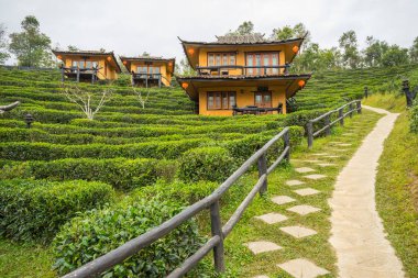 Rak Thai, Çinli bir yerleşim yasağı