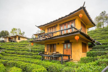 Rak Thai, Çinli bir yerleşim yasağı