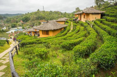 Rak Thai, Mae Hong Son Tayland Çinli bir yerleşim yasağı