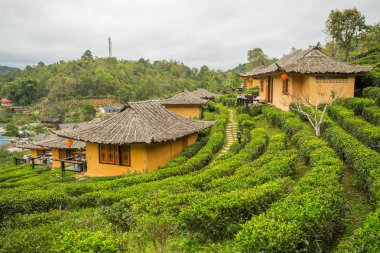 Rak Thai, Mae Hong Son Tayland Çinli bir yerleşim yasağı