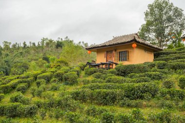 Rak Thai, Mae Hong Son Tayland Çinli bir yerleşim yasağı