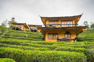 Rak Thai, Mae Hong Son Tayland Çinli bir yerleşim yasağı