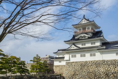 Toyama şehir kalede Toyama