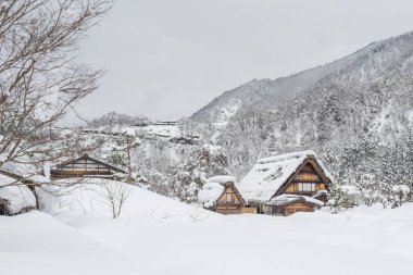 Shirakawago Japonya'nın eski bir köyde