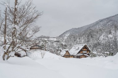 Shirakawago Japonya'nın eski bir köyde