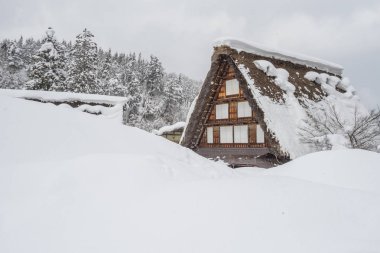 Shirakawago Japonya'nın eski bir köyde