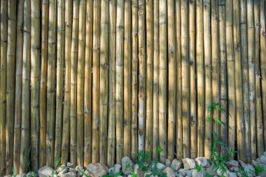 Bambu duvar arka planla