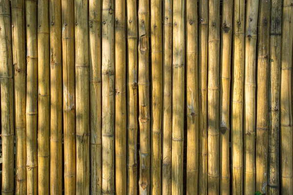 Parede de bambu como fundo — Fotografia de Stock