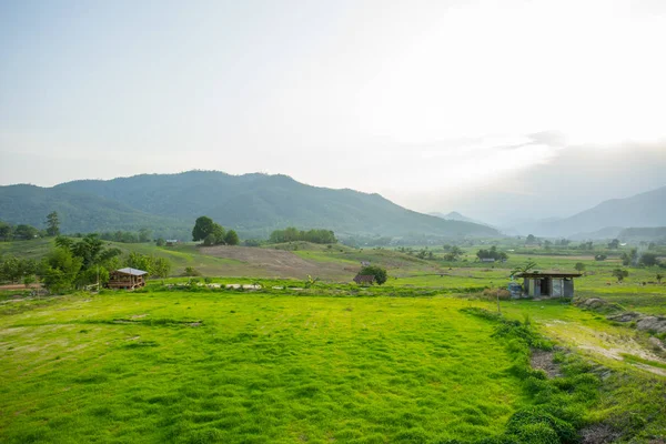 Natural view with a small hut — Stock Photo, Image