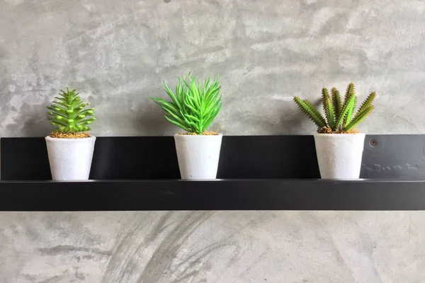 Small cactus in pot on shelf — Stock Photo, Image