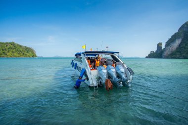 Krabi Thailand 3 Şubat 2018: sürat teknesi Adası'nda demirli Krabi il Tayland dalış turist için hazırlayın. Phi Phi Mu Ko Phi Phi Milli Parkı parçası olduğunu.
