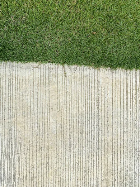 Passarela Concreto Com Grama Verde — Fotografia de Stock