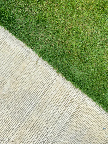 緑の芝生のコンクリートの歩道 — ストック写真