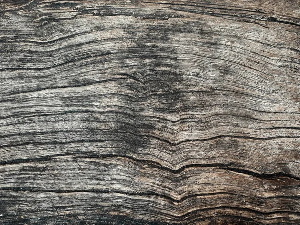 背景の質感として釘で木製の結び目の壁 — ストック写真