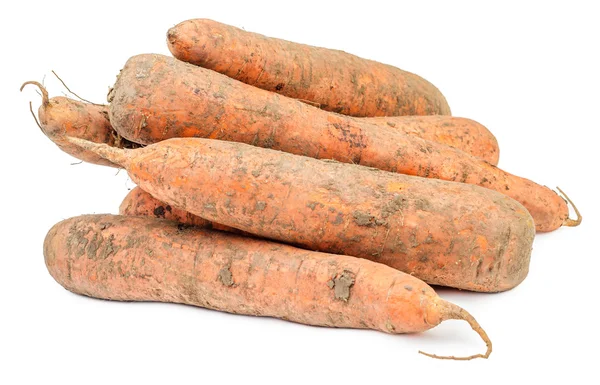 Zanahorias frescas sucias aisladas Imagen de stock