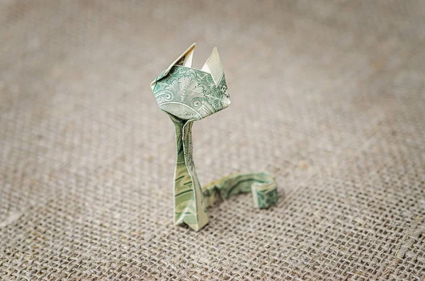 Dollar gato no fundo de linho rústico — Fotografia de Stock