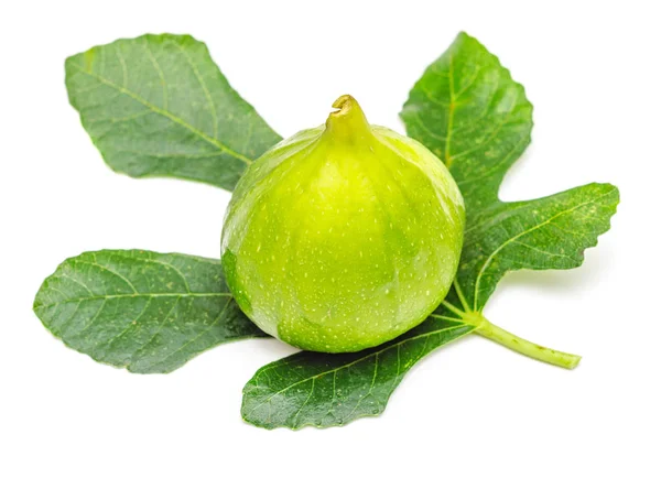 Grüne Feigenfrucht mit Blatt isoliert auf weiß — Stockfoto