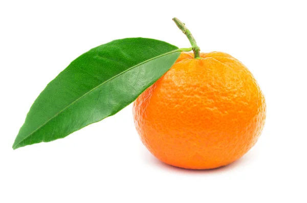 Mandarin izolált fehér — Stock Fotó