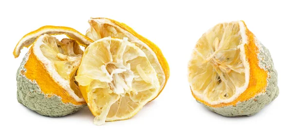 Romlott penészes citrom elszigetelt fehér — Stock Fotó