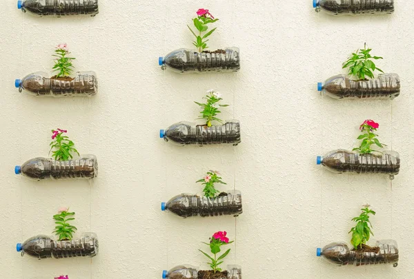 Çiçek plastik şişe 