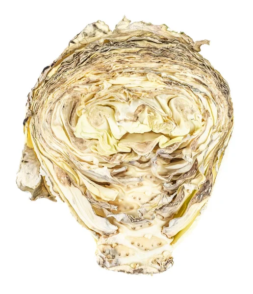 Половина гнилої капусти ізольована — стокове фото