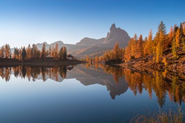 Günbatımında Federa Gölü 'nün Dolomitler' deki sonbahar manzarası. Mavi gökyüzü, görkemli kayalık dağ ve Dolomitler 'de parlayan renkli ağaçlarla muhteşem bir sonbahar sahnesi. Sarı tarla ağaçlı Dolomit Alpleri