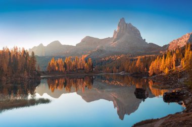 Günbatımında Federa Gölü 'nün Dolomitler' deki sonbahar manzarası. Mavi gökyüzü, görkemli kayalık dağ ve Dolomitler 'de parlayan renkli ağaçlarla muhteşem bir sonbahar sahnesi. Sarı tarla ağaçlı Dolomit Alpleri