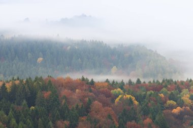 Kayalık dağlar ve sis. Canmore yakınlarında, Alberta Kanada. Kış mevsimi yaklaşıyor. Ayı ülkesi. Güzel manzara arka plan kavramı.