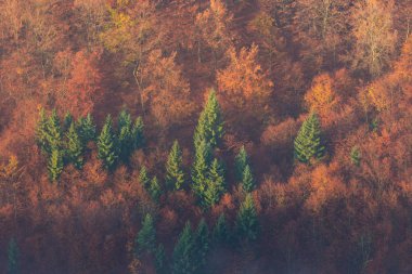 Bow River 'daki Rocky dağlarının neredeyse mükemmel bir yansıması. Canmore yakınlarında, Alberta Kanada. Kış mevsimi yaklaşıyor. Ayı ülkesi. Güzel manzara arka plan kavramı.