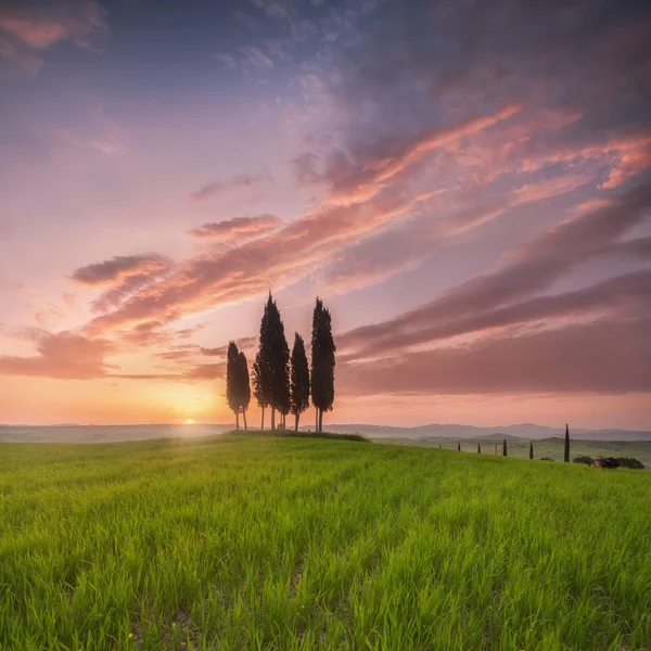 Tuscany Landscape Sunrise Typical Region Tuscan Farm Hills Vineyard Italy — Stock Photo, Image