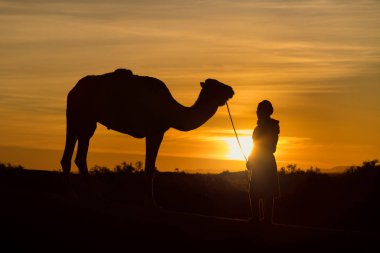 Sahara, Fas, 06-Ocak-2020. Bedevi ve deve kum tepelerinin içinden geçiyor. Sahra Çölü 'nde güneşli güzel bir gün, Fas, Afrika silueti renkli manzaralı göçebe adam..