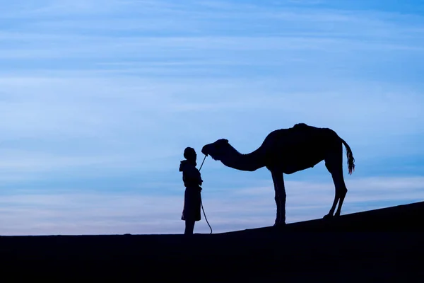 Sahara Marokko Januari 2020 Bedoeïenen Kamelen Weg Door Zandduinen Prachtige — Stockfoto