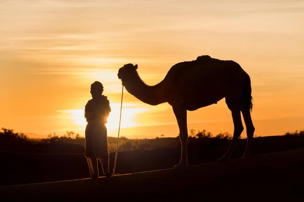 Sahara Marokko Januari 2020 Bedoeïenen Kamelen Weg Door Zandduinen Prachtige — Stockfoto