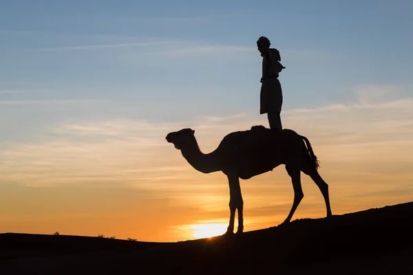 Sahara Marocco Gennaio 2020 Beduini Cammelli Viaggio Tra Dune Sabbia — Foto Stock