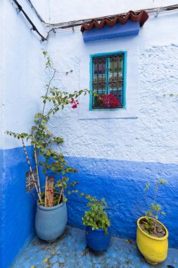 Chefchaouen, Fas, Afrika 'daki geleneksel ve tipik mimari detaylar ve mavi duvarlı ve çeşitli nesnelerle süslenmiş mavi Medine' nin güzel caddesi..