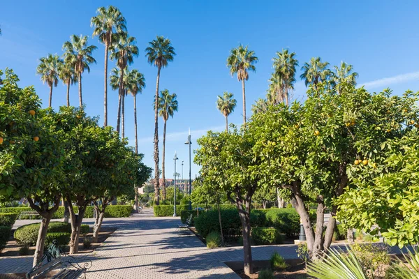 Koutoubia Moschee Ist Die Größte Moschee Marrakesch Marokko Ist Auch — Stockfoto