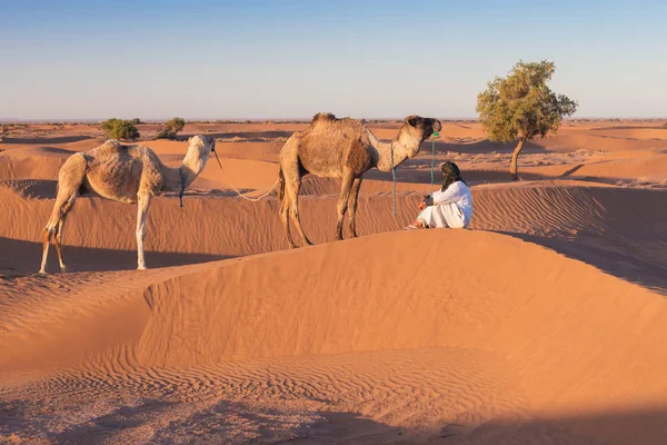 Beduinos Camellos Atravesando Dunas Arena Hermoso Atardecer Con Caravana Desierto — Foto de Stock