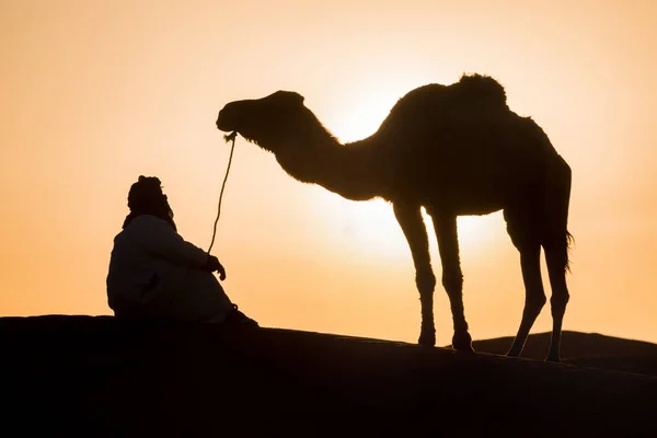 Beduin Och Kamel Väg Genom Sanddyner Vacker Solnedgång Med Husvagn — Stockfoto