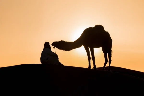 Bedoeïenen Kamelen Weg Door Zandduinen Prachtige Zonsondergang Met Caravan Sahara — Stockfoto