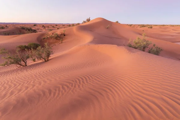 Vacker Solnedgång Med Stora Sanddyner Sahara Marocko Pittoreska Bakgrund Natur — Stockfoto