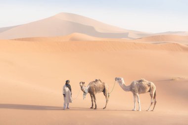 Sahara, Fas, 08-Ocak-2020 Bedevi ve kum tepelerinden geçen develer. Sahra Çölü, Fas, Afrika silueti renkli manzaralı göçebe adamla güzel bir gün batımı..