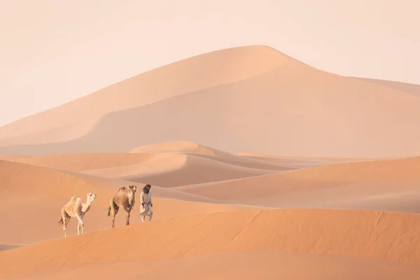 Bedeviler Develer Kum Tepelerinden Geçiyorlar Sahra Çölü Fas Afrika Silueti — Stok fotoğraf