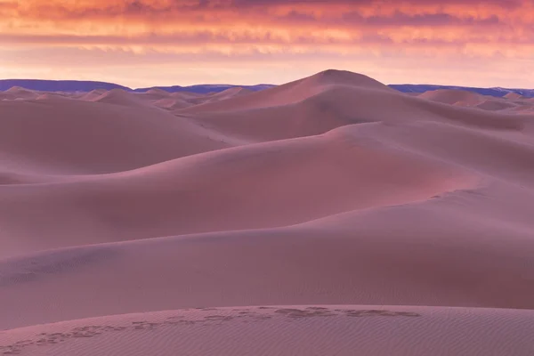 砂漠の風景砂丘メルズーガ モロッコ アフリカの近くの日没の空 発見と冒険旅行の概念 砂漠の砂丘の上の日光 — ストック写真