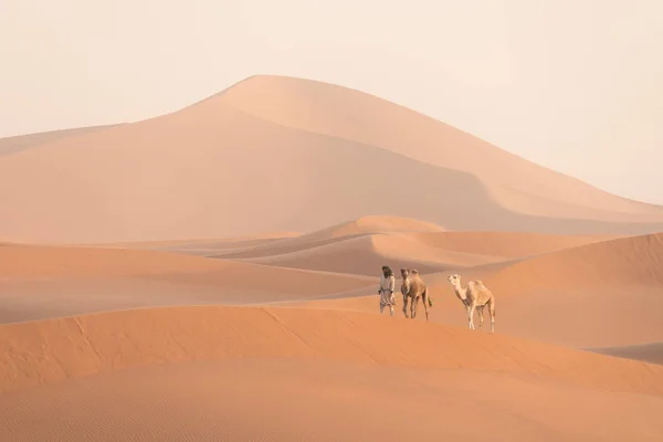 Bedouin Camels Way Sand Dunes Beautiful Sunset Caravan Sahara Desert — 스톡 사진
