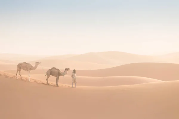 Bedouin Camels Way Sand Dunes Beautiful Sunset Caravan Sahara Desert — 스톡 사진