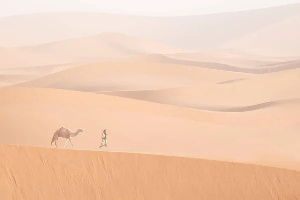 Bedouin Camel Way Sand Dunes Beautiful Sunset Caravan Sahara Desert — 스톡 사진