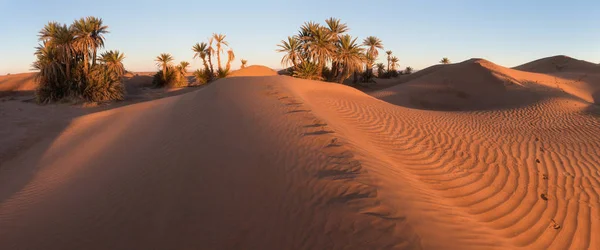 Ökenlandskap Sanddyner Vid Solnedgången Himlen Nära Merzouga Marocko Afrika Upptäckts — Stockfoto