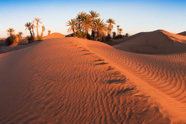Ökenlandskap Sanddyner Vid Solnedgången Himlen Nära Merzouga Marocko Afrika Upptäckts — Stockfoto