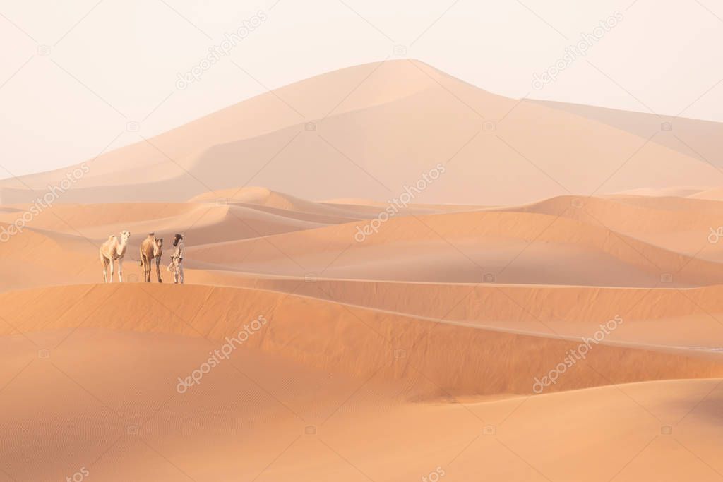 Bedouin and camels on way through sand dunes. Beautiful sunset with caravan in Sahara desert, Morocco, Africa Silhouette nomad man with colorful landscape.